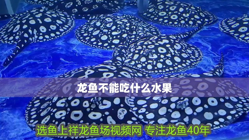 龍魚(yú)不能吃什么水果