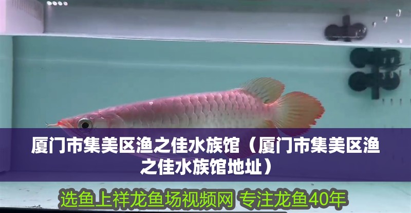 廈門市集美區漁之佳水族館(廈門市集美區漁之佳水族館地址) 全國水族館企業名錄 第2張 廈門市集美區漁之佳水族館(廈門市集美區漁之佳水族館地址) 廈門市集美區漁之佳水族館(廈門市集美區漁之佳水族館地址) 全國水族館企業名錄 第2張