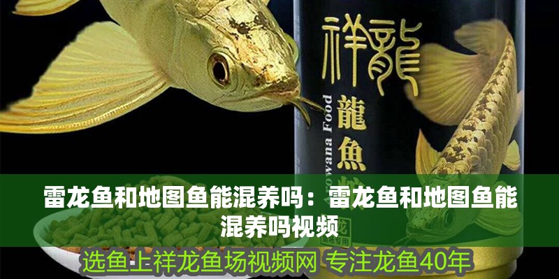 雷龍魚和地圖魚能混養嗎：雷龍魚和地圖魚能混養嗎視頻