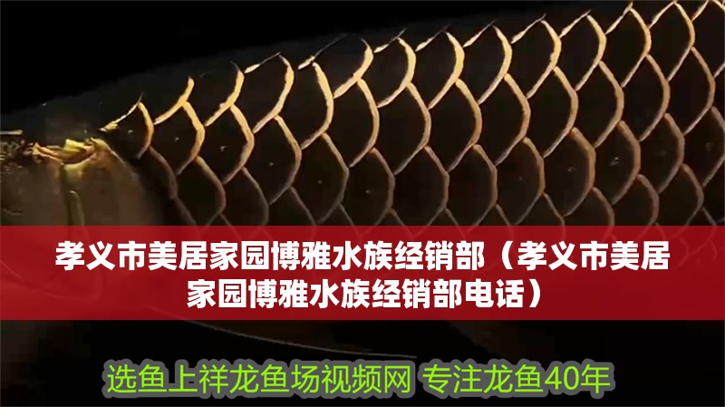 孝義市美居家園博雅水族經(jīng)銷部（孝義市美居家園博雅水族經(jīng)銷部電話）