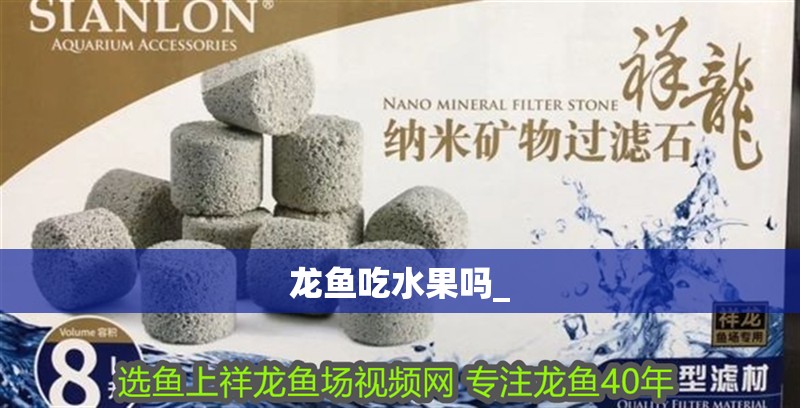 龍魚吃水果嗎_