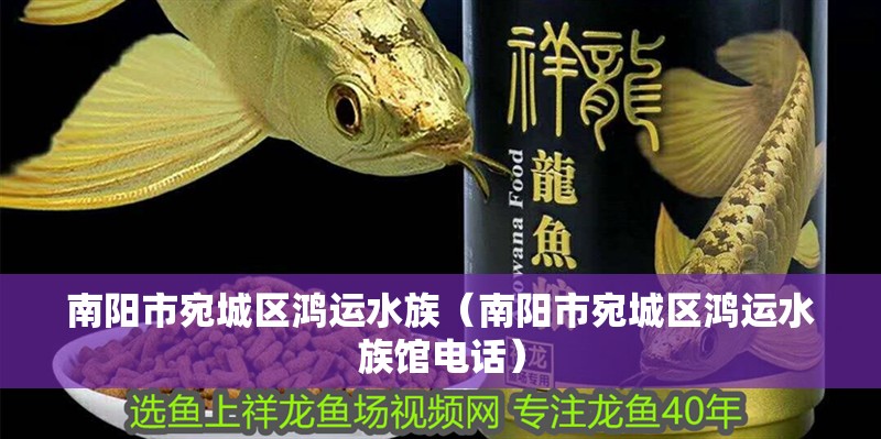 南陽市宛城區(qū)鴻運(yùn)水族（南陽市宛城區(qū)鴻運(yùn)水族館電話）