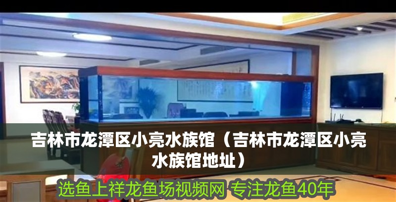 吉林市龍?zhí)秴^(qū)小亮水族館（吉林市龍?zhí)秴^(qū)小亮水族館地址）