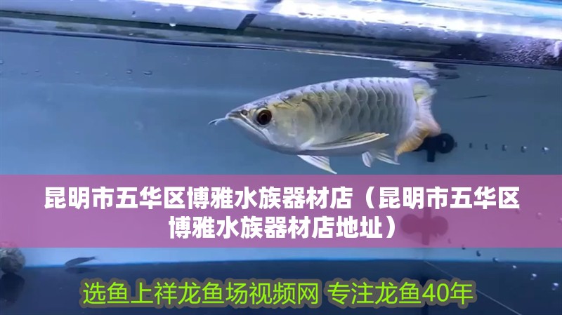 昆明市五華區博雅水族器材店（昆明市五華區博雅水族器材店地址）