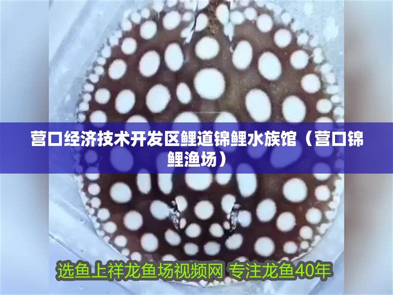 營口經(jīng)濟技術(shù)開發(fā)區(qū)鯉道錦鯉水族館（營口錦鯉漁場）