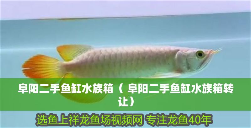阜陽二手魚缸水族箱（ 阜陽二手魚缸水族箱轉讓）