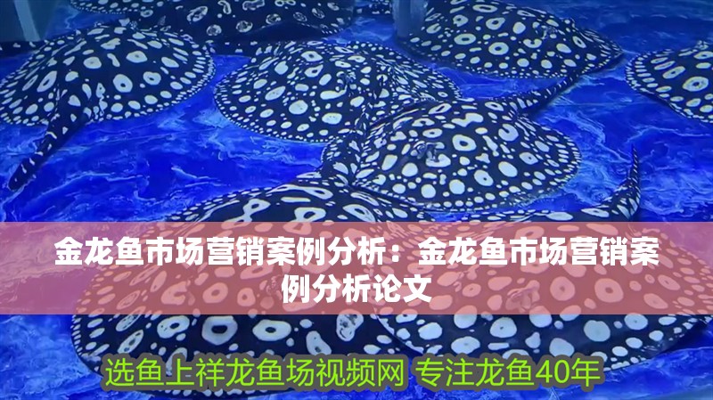 金龍魚市場營銷案例分析：金龍魚市場營銷案例分析論文