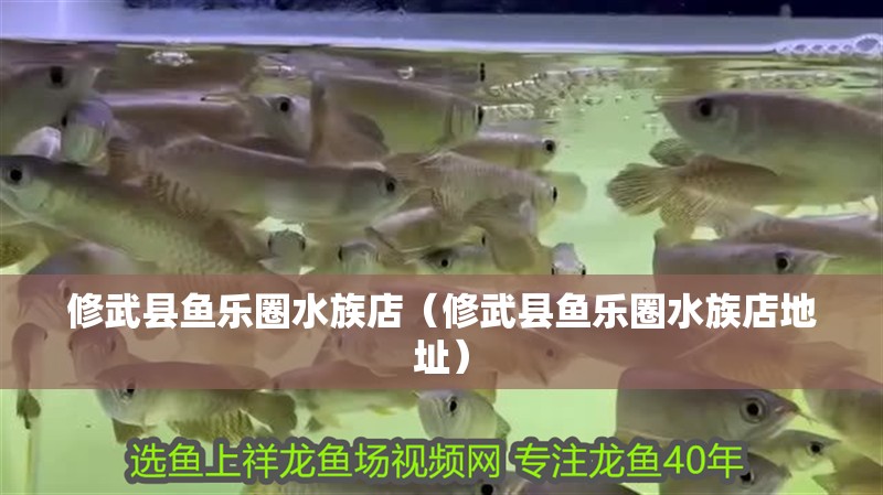 修武縣魚樂圈水族店（修武縣魚樂圈水族店地址）