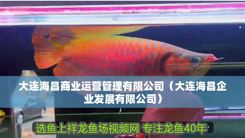 大連海昌商業運營管理有限公司（大連海昌企業發展有限公司）