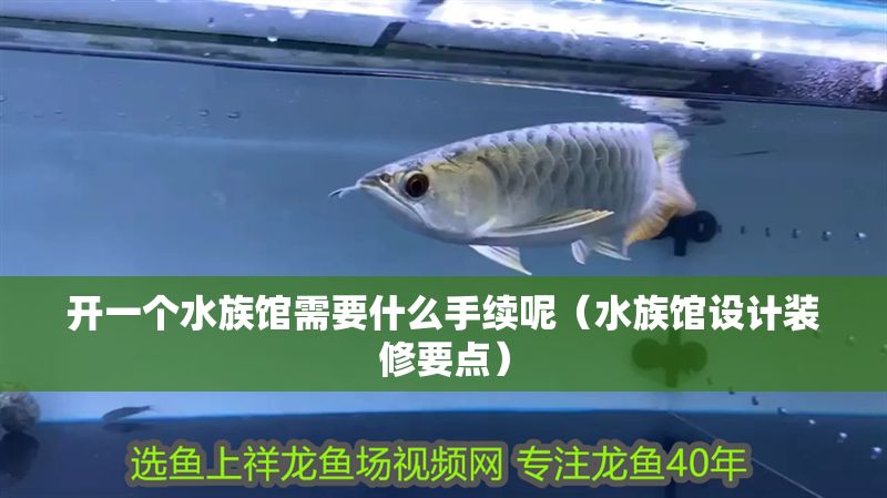 開一個(gè)水族館需要什么手續(xù)呢（水族館設(shè)計(jì)裝修要點(diǎn)）