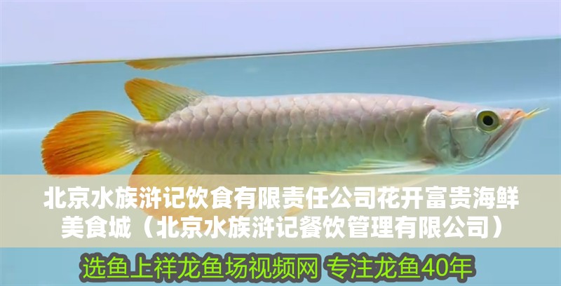 北京水族滸記飲食有限責(zé)任公司花開(kāi)富貴海鮮美食城（北京水族滸記餐飲管理有限公司）
