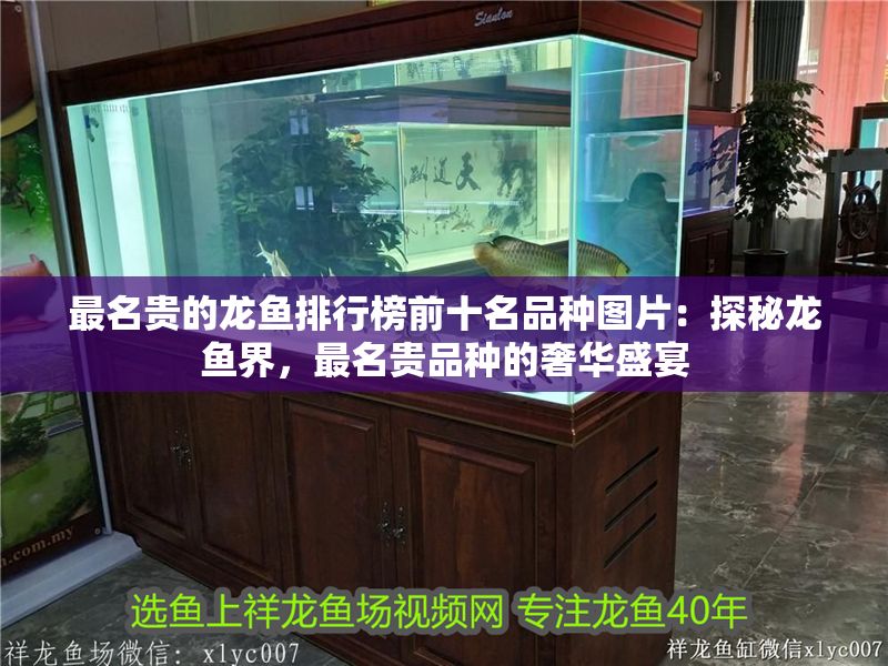 最名貴的龍魚排行榜前十名品種圖片：探秘龍魚界，最名貴品種的奢華盛宴