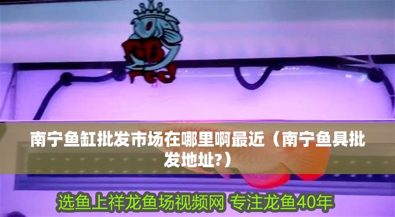 南寧魚缸批發市場在哪里啊最近（南寧魚具批發地址?）