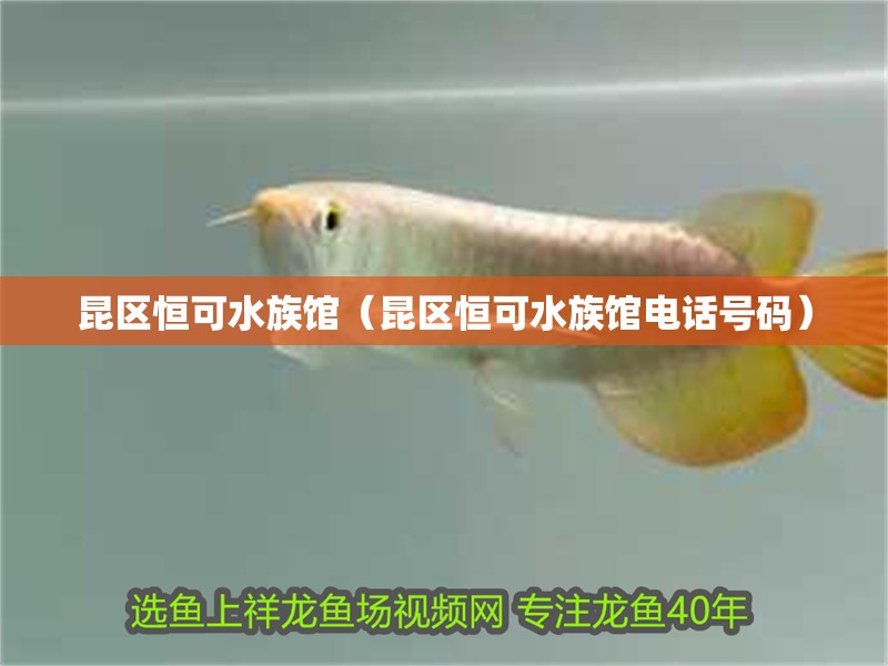 昆區(qū)恒可水族館（昆區(qū)恒可水族館電話號(hào)碼）