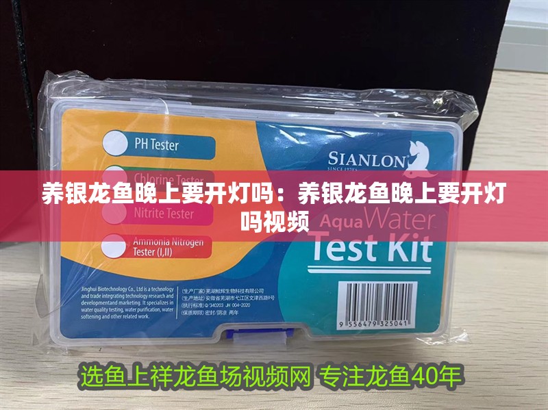 養銀龍魚晚上要開燈嗎：養銀龍魚晚上要開燈嗎視頻 養銀龍魚晚上要開燈嗎：養銀龍魚晚上要開燈嗎視頻 水族問答