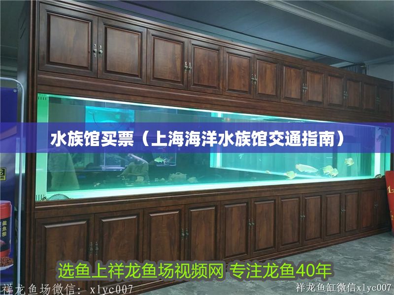 水族館買票（上海海洋水族館交通指南）