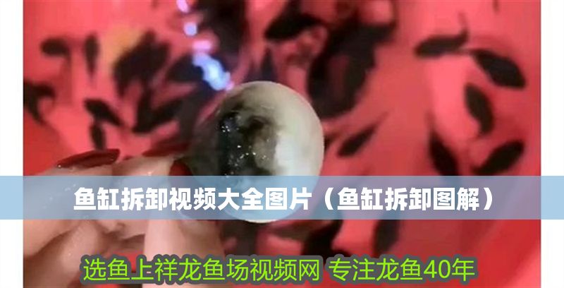 魚缸拆卸視頻大全圖片（魚缸拆卸圖解）