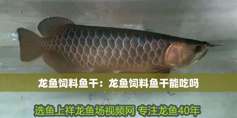 龍魚飼料魚干：龍魚飼料魚干能吃嗎