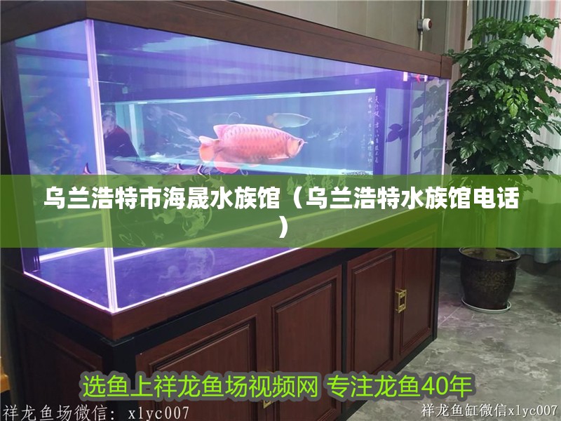 烏蘭浩特市海晟水族館（烏蘭浩特水族館電話）