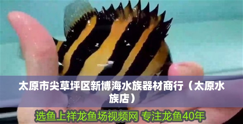 太原市尖草坪區新博海水族器材商行（太原水族店）