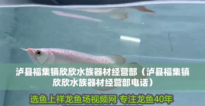 瀘縣福集鎮(zhèn)欣欣水族器材經(jīng)營(yíng)部（瀘縣福集鎮(zhèn)欣欣水族器材經(jīng)營(yíng)部電話）