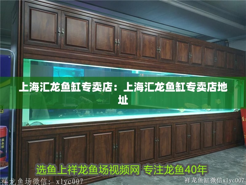 上海匯龍魚缸專賣店：上海匯龍魚缸專賣店地址 上海匯龍魚缸專賣店：上海匯龍魚缸專賣店地址 水族問答
