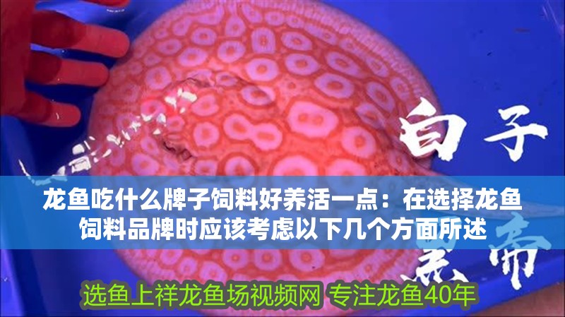 龍魚吃什么牌子飼料好養活一點：在選擇龍魚飼料品牌時應該考慮以下幾個方面所述