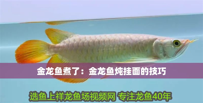 金龍魚煮了：金龍魚燉掛面的技巧