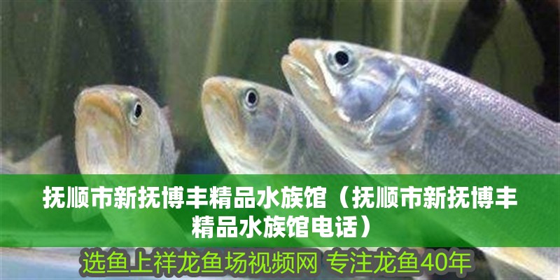 撫順市新?lián)岵┴S精品水族館（撫順市新?lián)岵┴S精品水族館電話）