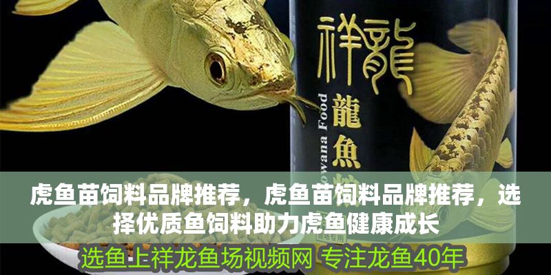 虎魚苗飼料品牌推薦，虎魚苗飼料品牌推薦，選擇優(yōu)質(zhì)魚飼料助力虎魚健康成長