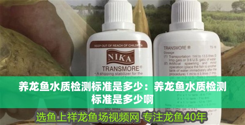 養龍魚水質檢測標準是多少：養龍魚水質檢測標準是多少啊