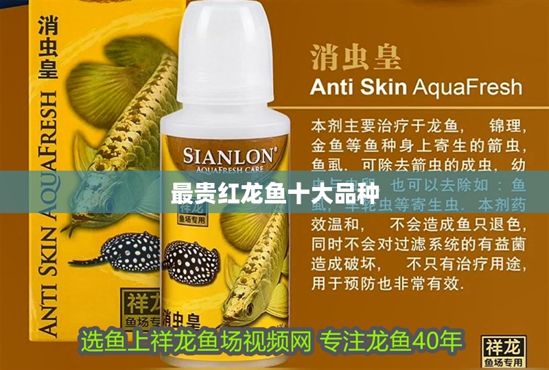 最貴紅龍魚十大品種
