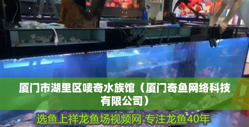 廈門市湖里區嘜奇水族館（廈門奇魚網絡科技有限公司）