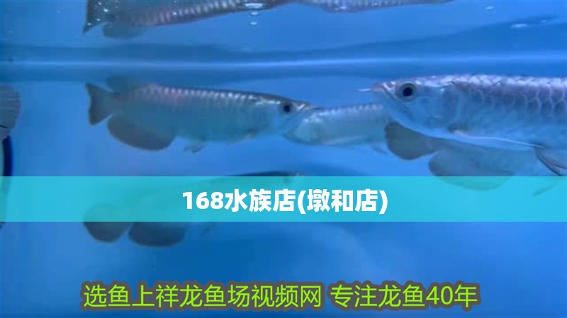 168水族店(墩和店)