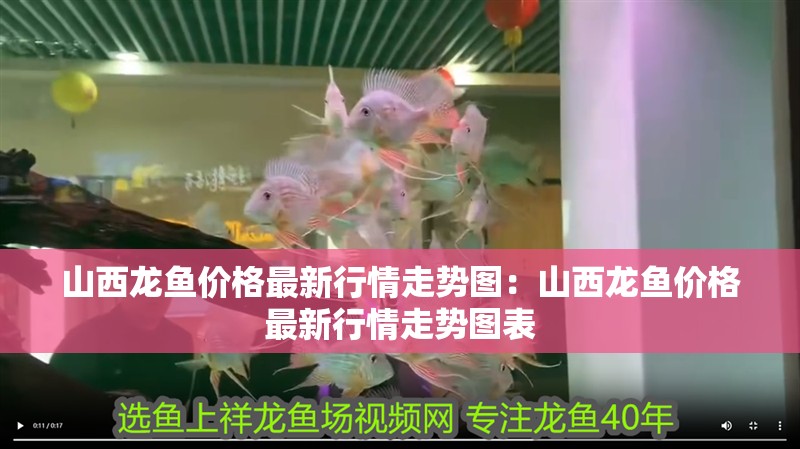 山西龍魚價格最新行情走勢圖：山西龍魚價格最新行情走勢圖表