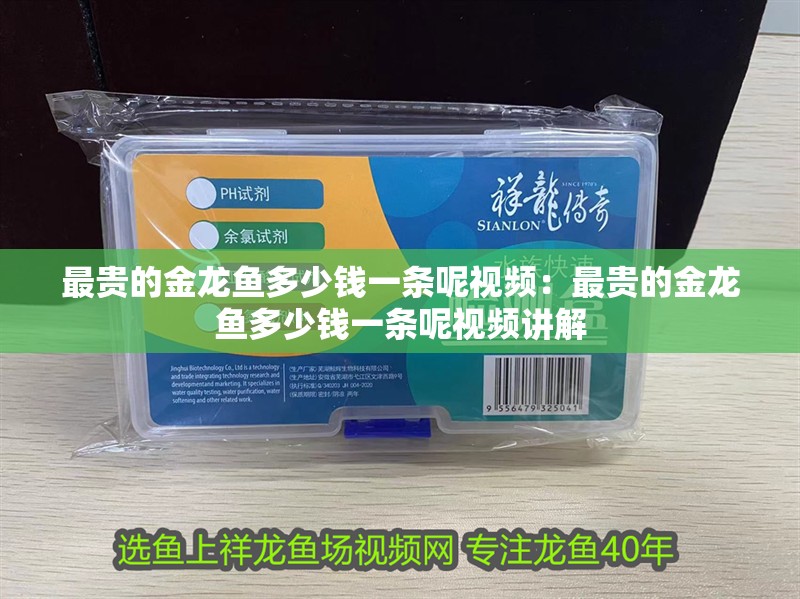 最貴的金龍魚多少錢一條呢視頻：最貴的金龍魚多少錢一條呢視頻講解