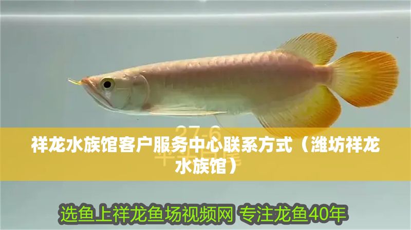 祥龍水族館客戶服務中心聯系方式（濰坊祥龍水族館）