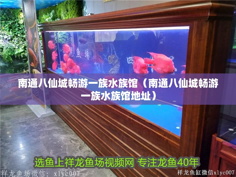 南通八仙城暢游一族水族館（南通八仙城暢游一族水族館地址）