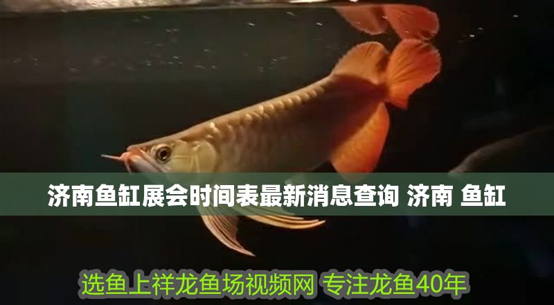 濟(jì)南魚缸展會(huì)時(shí)間表最新消息查詢 濟(jì)南 魚缸
