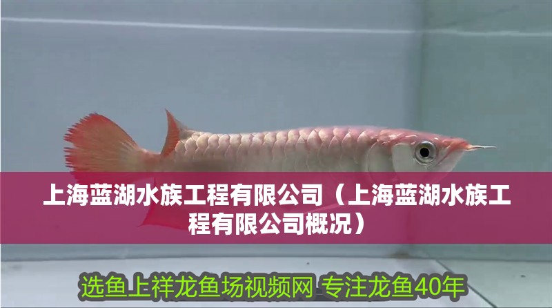 上海藍湖水族工程有限公司（上海藍湖水族工程有限公司概況）