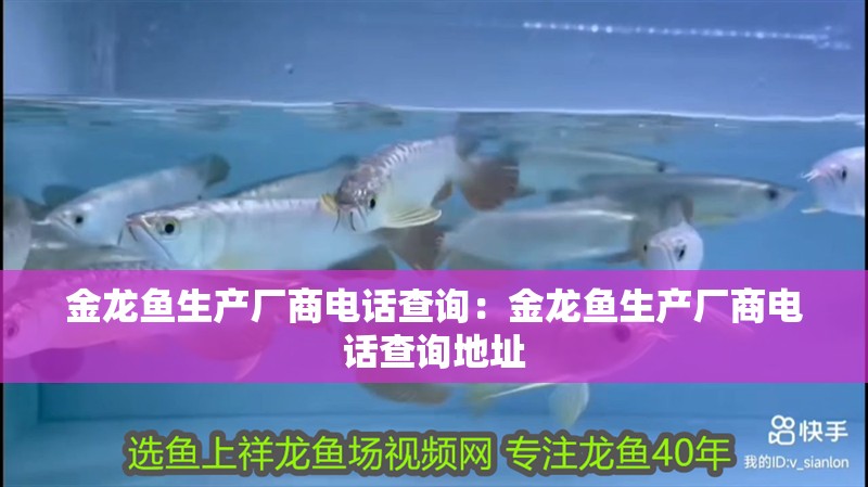 金龍魚生產(chǎn)廠商電話查詢:金龍魚生產(chǎn)廠商電話查詢地址 水族問答 金龍魚生產(chǎn)廠商電話查詢:金龍魚生產(chǎn)廠商電話查詢地址 金龍魚生產(chǎn)廠商電話查詢:金龍魚生產(chǎn)廠商電話查詢地址 水族問答