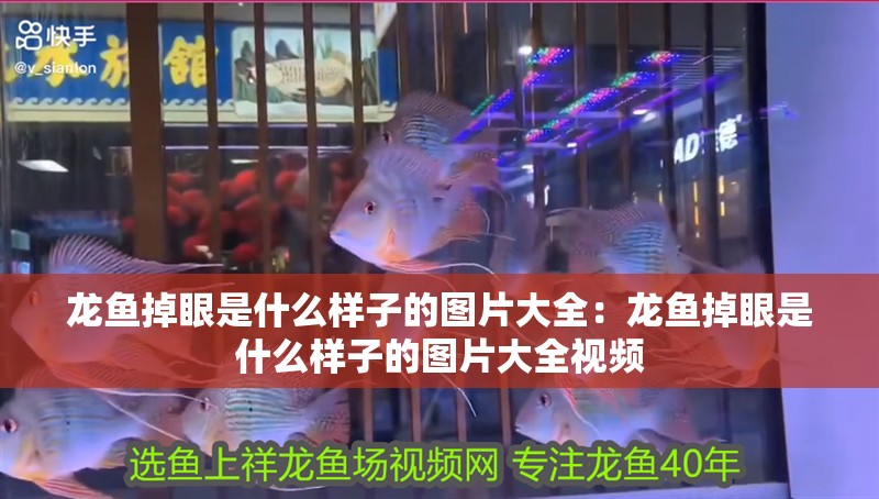 龍魚掉眼是什么樣子的圖片大全：龍魚掉眼是什么樣子的圖片大全視頻