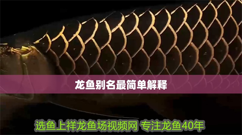 龍魚別名最簡單解釋