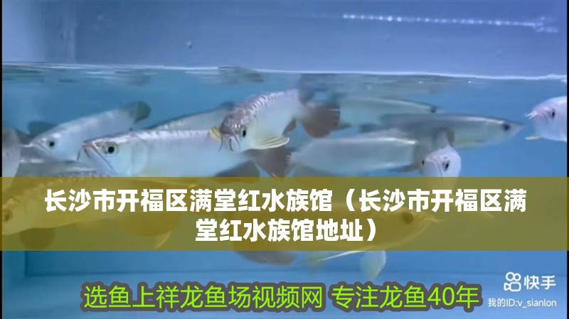 長沙市開福區滿堂紅水族館（長沙市開福區滿堂紅水族館地址）