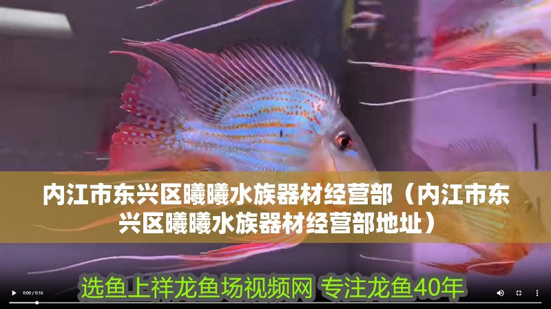 內(nèi)江市東興區(qū)曦曦水族器材經(jīng)營部（內(nèi)江市東興區(qū)曦曦水族器材經(jīng)營部地址）