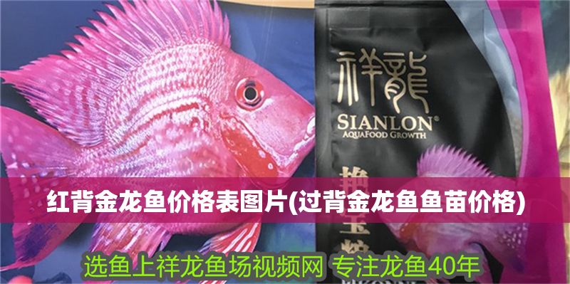 紅背金龍魚價格表圖片(過背金龍魚魚苗價格)