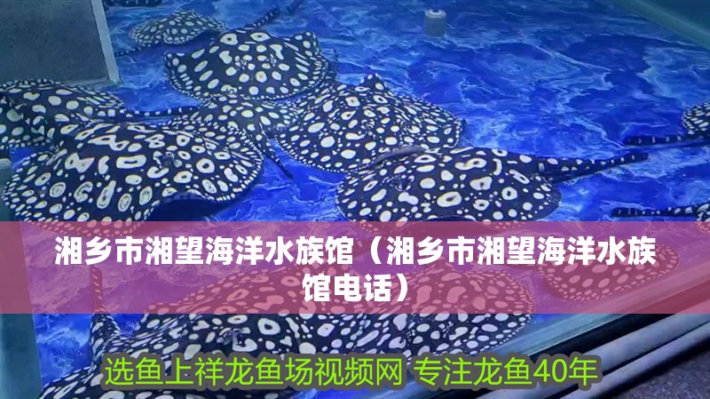 湘鄉(xiāng)市湘望海洋水族館（湘鄉(xiāng)市湘望海洋水族館電話）