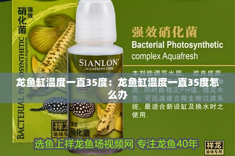 龍魚缸溫度一直35度：龍魚缸溫度一直35度怎么辦
