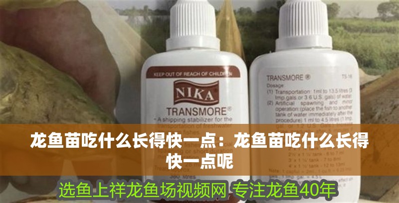 詳細閱讀:龍魚苗吃什么長得快一點:龍魚苗吃什么長得快一點呢 龍魚苗吃什么長得快一點:龍魚苗吃什么長得快一點呢