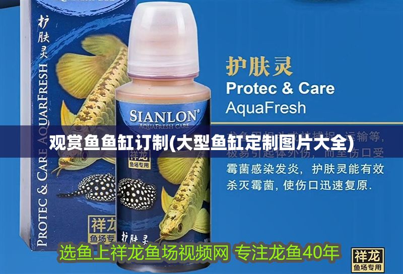 觀賞魚魚缸訂制(大型魚缸定制圖片大全)